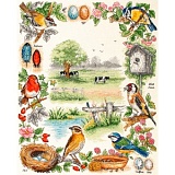 Набор для вышивания Anchor "Birds Sampler" 44*35см, MEZ Венгрия, PSC52