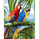 *  Канва-страмин Royal Paris с рисунком "Les Macaws" 47,5*37см, MEZ Венгрия, 9880132-00172