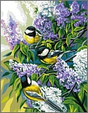 *  Канва-страмин Royal Paris с рисунком "Les Mesanges" 47,5*37см, MEZ Венгрия, 9880132-00135